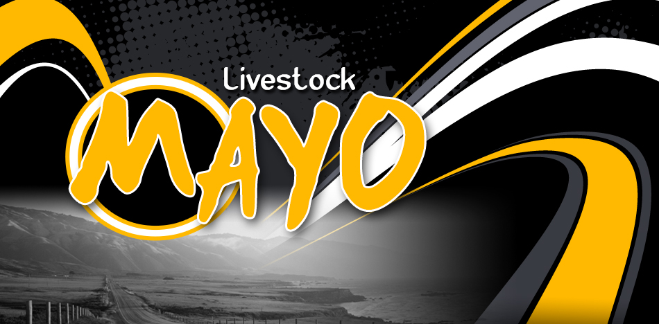 Mayo Livestock